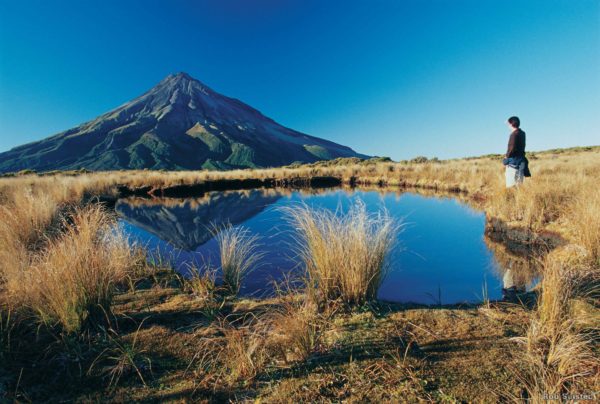 Man looking at Mt Taranaki