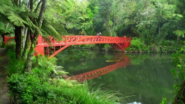 rent a car in New Zealand