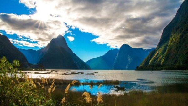 rent a car in New Zealand