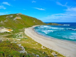 new-zealand-beach